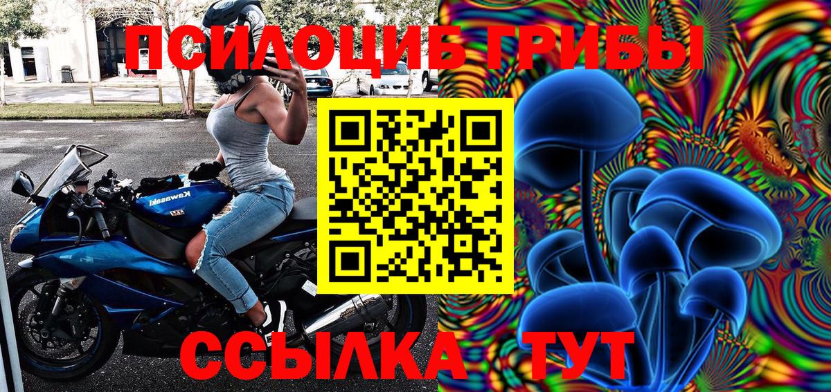 Галлюциногенные грибы GOLDEN TEACHER Дмитров