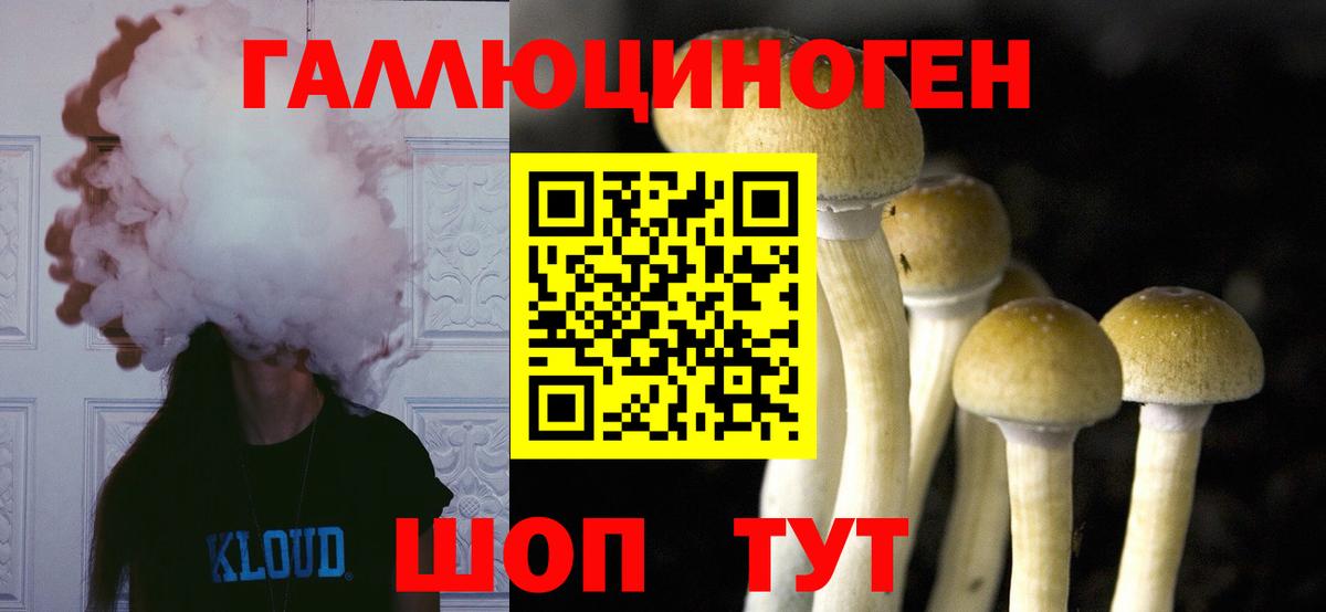 Галлюциногенные грибы GOLDEN TEACHER  Псилоцибиновые грибы ЛСД  Вход с VPN  Дмитров 